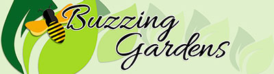 Buzzing Gardens